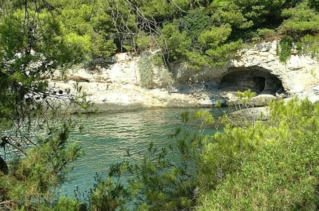 Kavos Bay Seafront Hotel Agia Marina  Екстер'єр фото